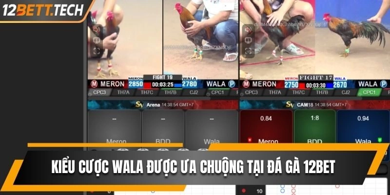 Kiểu cược WALA được ưa chuộng tại đá gà 12BET